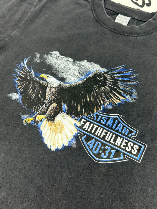 Faithfulness - Isaiah 40:31