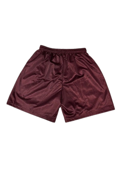 Space Village- Space Logo Mesh Shorts