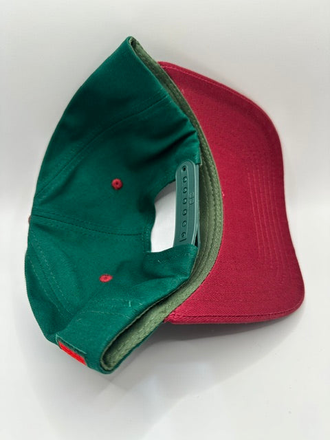 Mexico Flag Patch Snapback