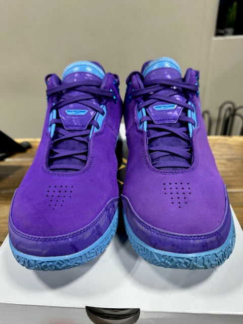 Nike Zoom LeBron NXXT Gen AMPD Summit Lake Hornets - Size 8.5 (Pre-Owned)