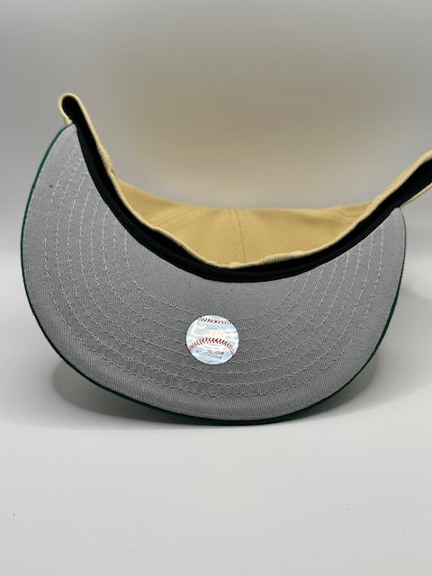 Houston Astros Shooting Star Astrodome Light Brown Green