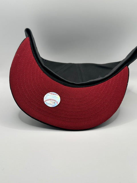 Houston Astros Red Outline Dark Grey Astrodome