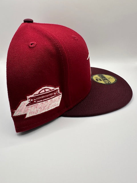 Houston Astros Pink Star Pink Astrodome