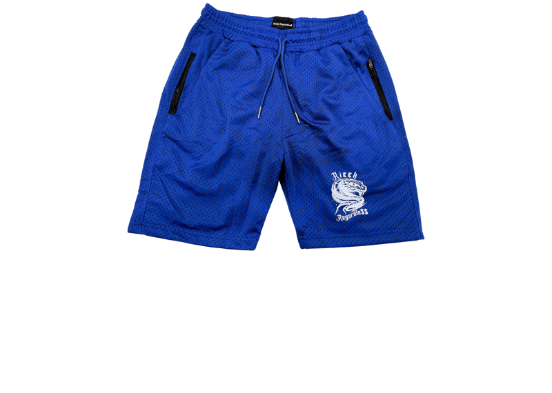 Ricch Regardle$$ Mesh Shorts Blue