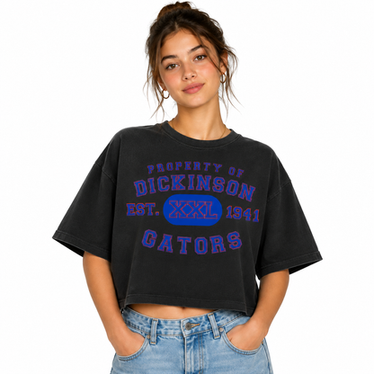Dickinson Gators - Women's Property Boxy Tee