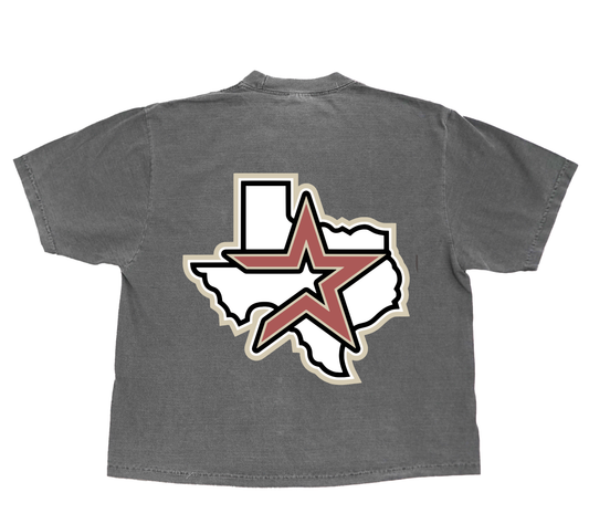 Houston Brick Patch - Shadow Grey