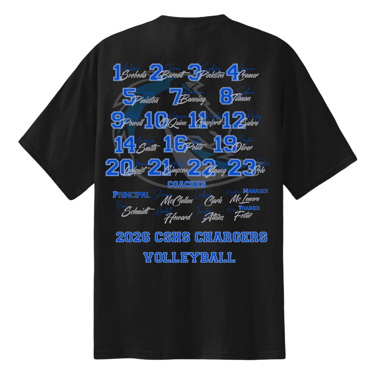 Clear Springs 2026 Volleyball Playoff Tee - Team Edition (Pre-Order)