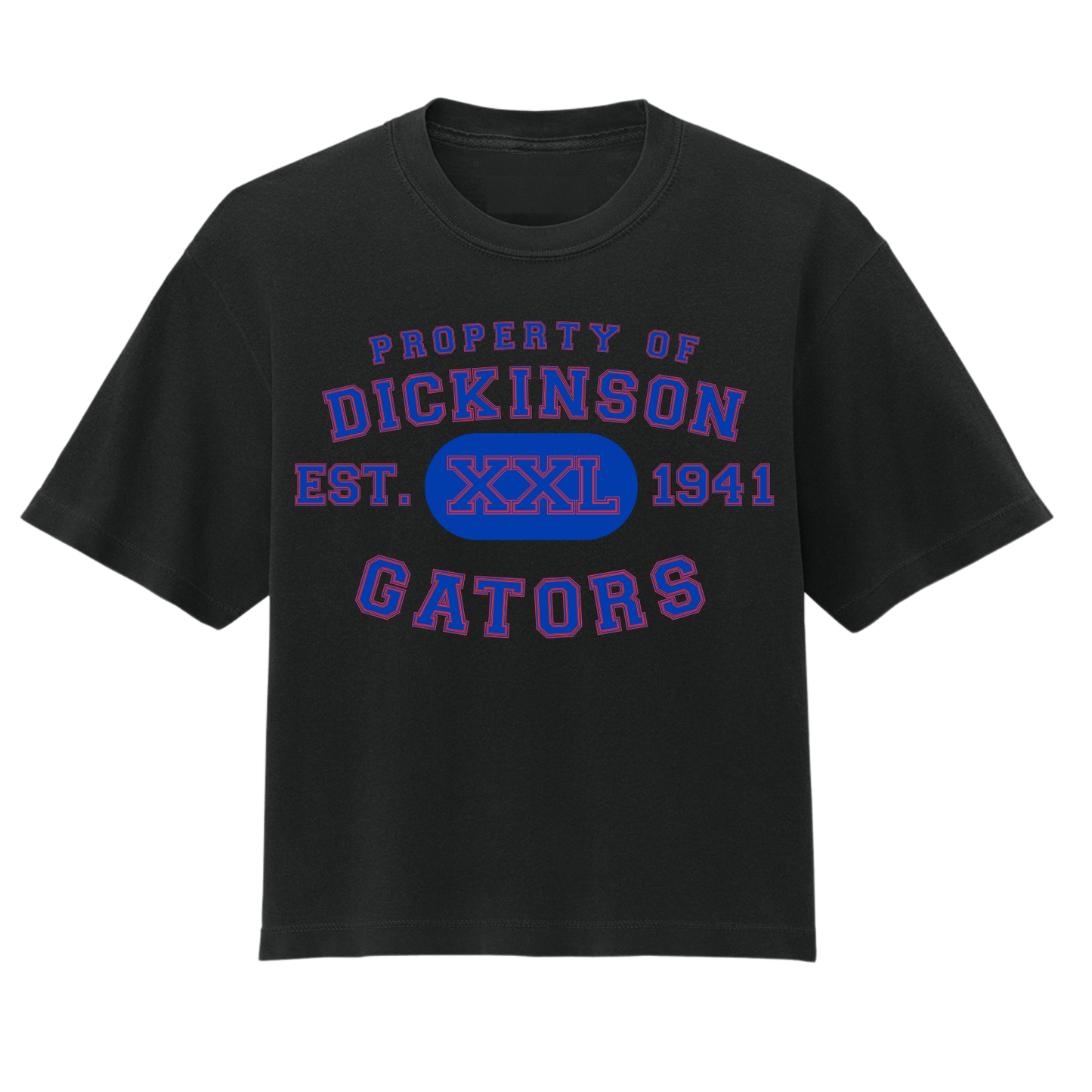 Dickinson Gators - Women's Property Boxy Tee