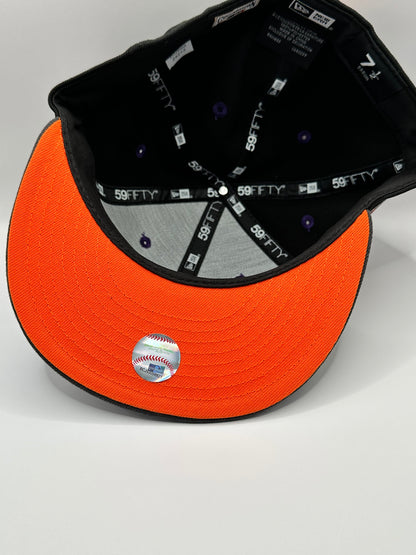 Astros World Series Suns