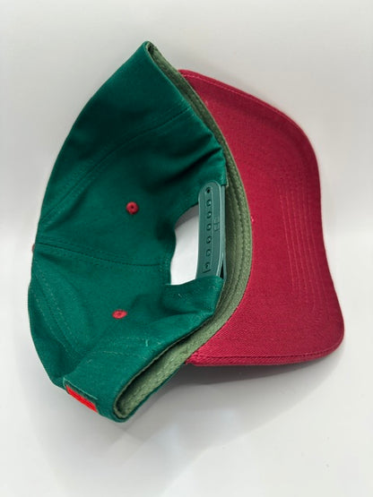 Mexico Flag Patch Snapback