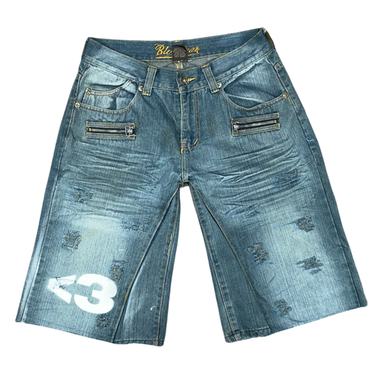 NX LXVE BAGGY JORTS (WASHED BLUE)