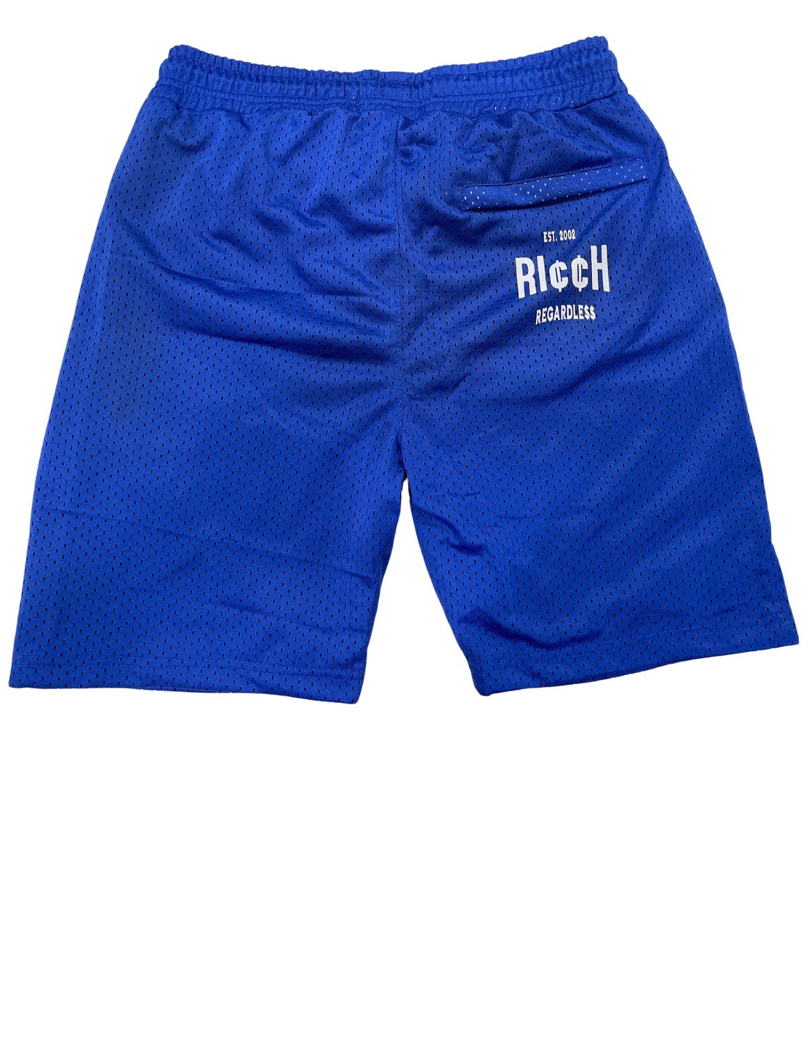 Ricch Regardle$$ Mesh Shorts Blue